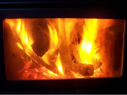 Asegúrese de que su estufa o caldera de biomasa no lo esté envenenando€
€