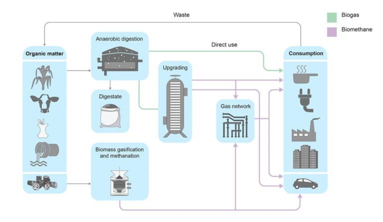 Biogás: ¿cómo se utiliza?  ¿Cómo podría usarse y qué tan relevante es para los residentes?€
€