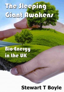 Cómo aprovechar al máximo la bioenergía€
€
