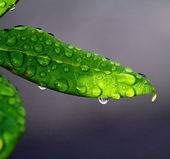 Soluciones a problemas comunes de recolección de agua de lluvia€
€